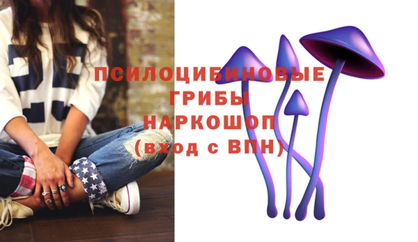 амф Ладушкин