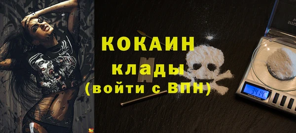твердый Киров