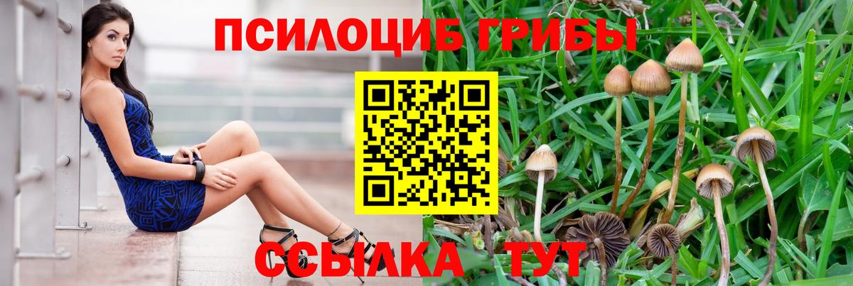 Янаул  где купить наркотик  Галлюциногенные грибы GOLDEN TEACHER  Вход с VPN  Галлюциногенные грибы GOLDEN TEACHER 